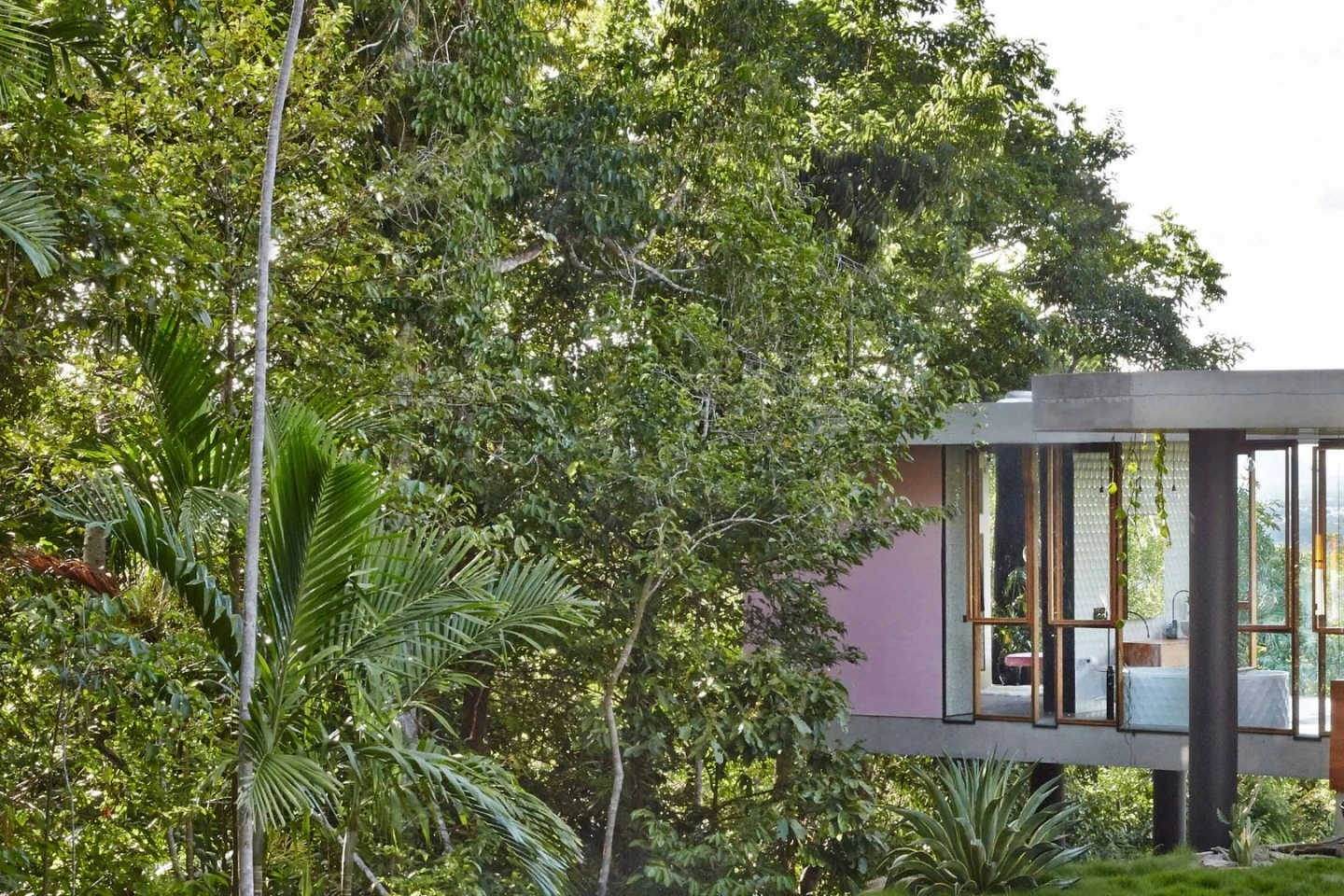Planchonella House opening onto its garden courtyard