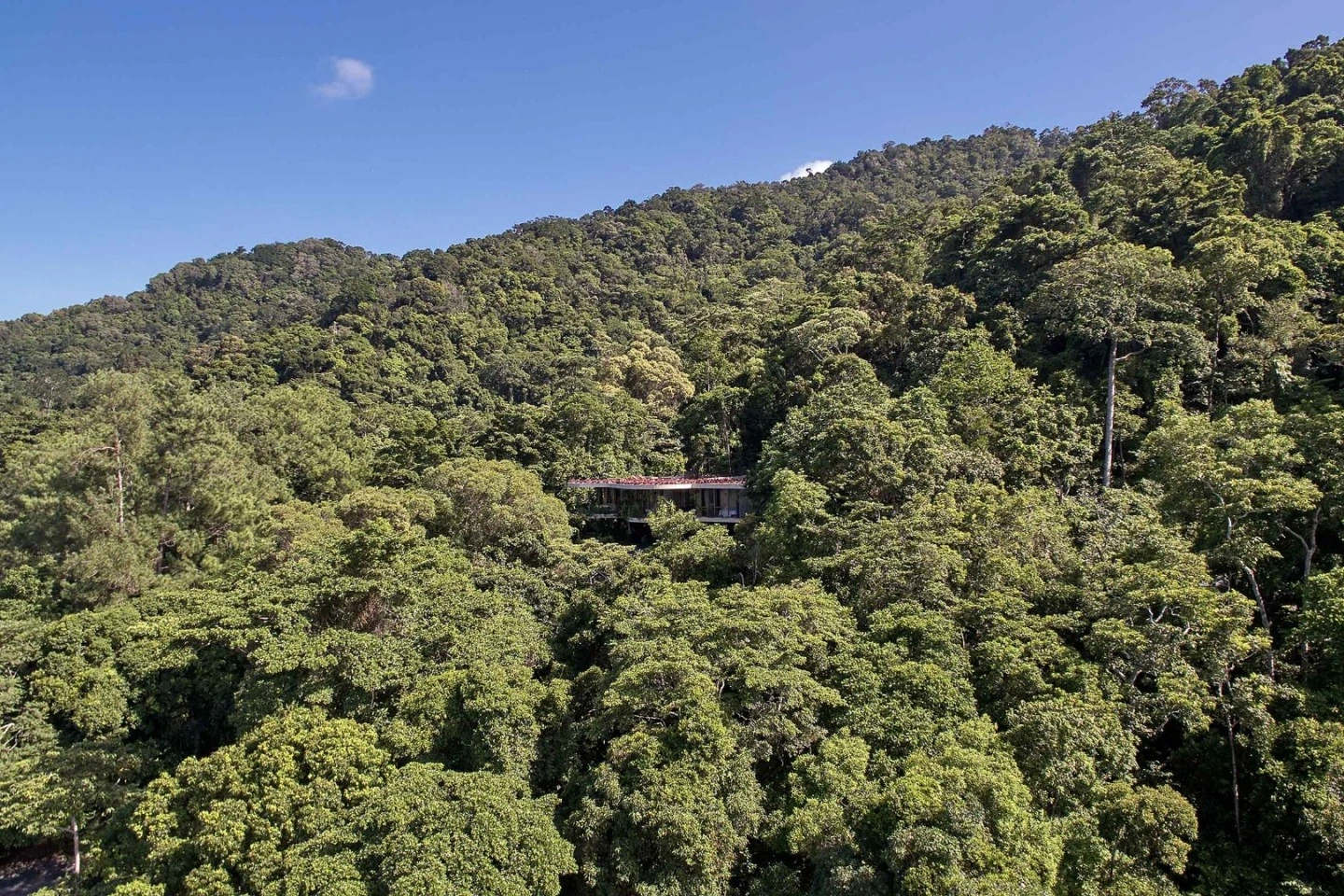 Surrounded by Queensland rainforest