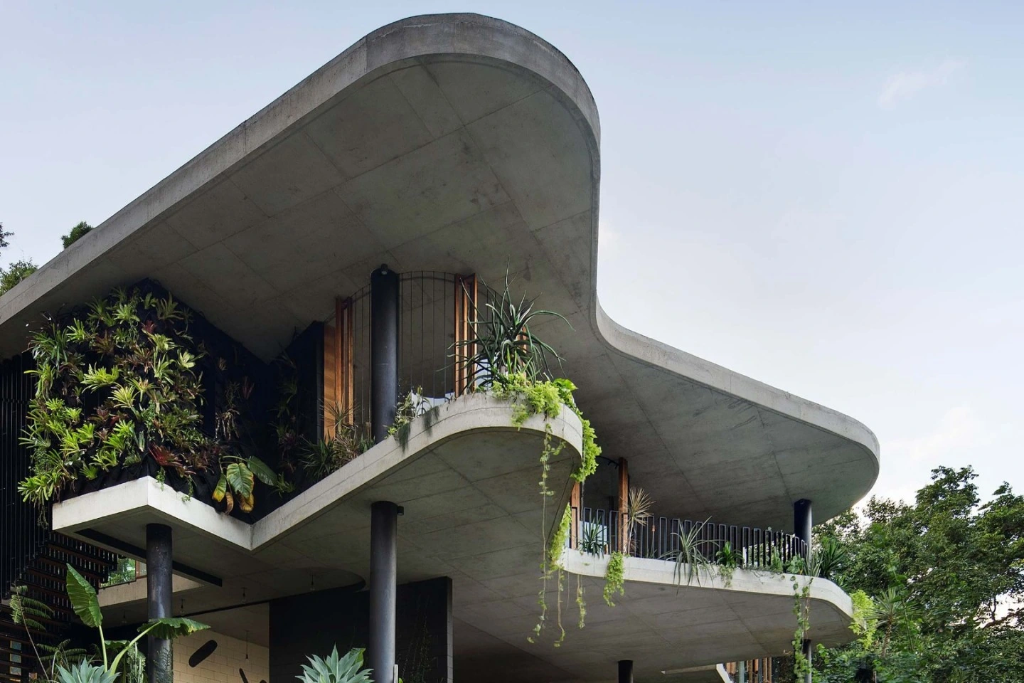 Curving concrete roof of Planchonella House above the trees