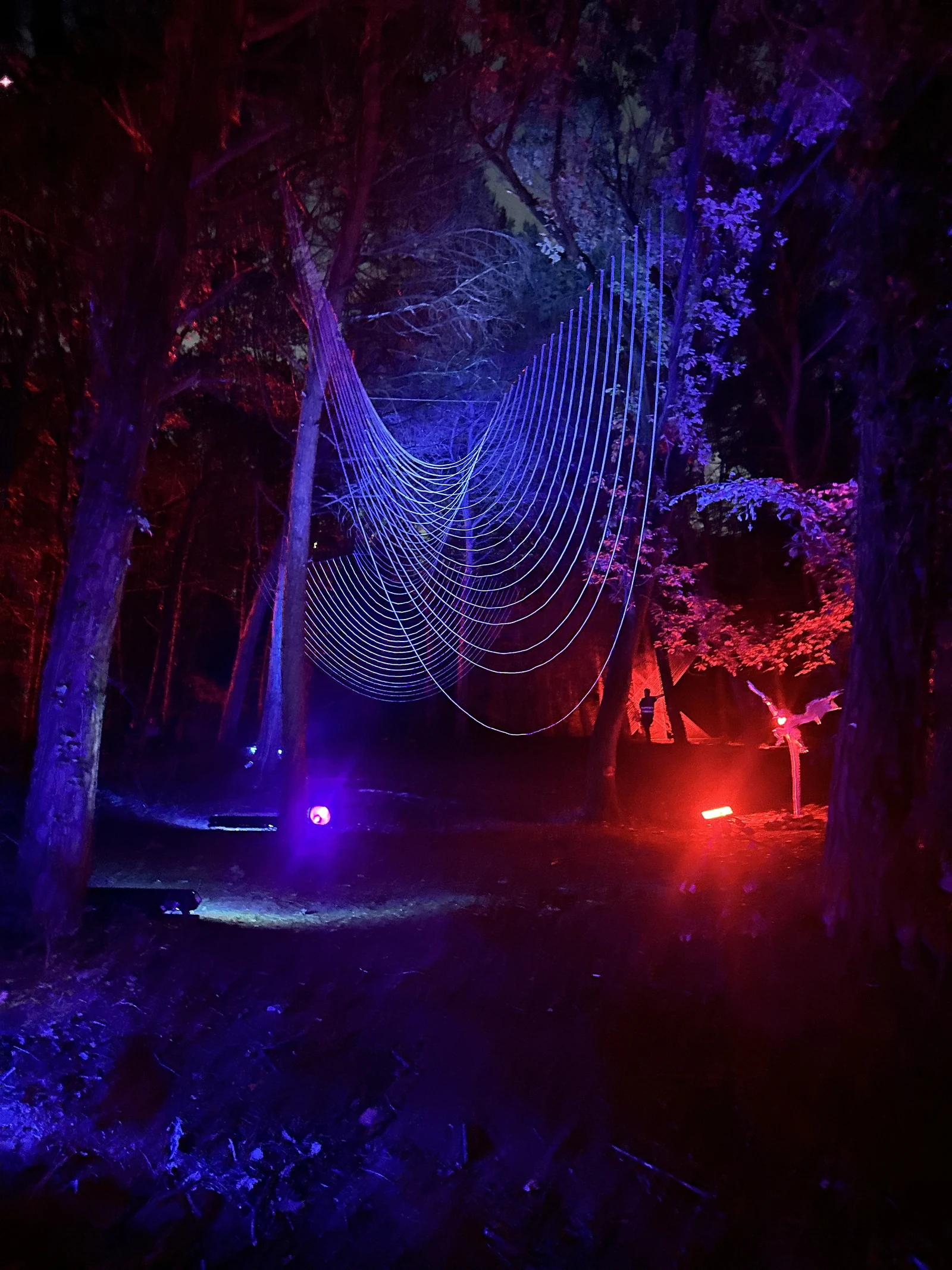 Curvature hanging above the forest path, illuminated in blue and red