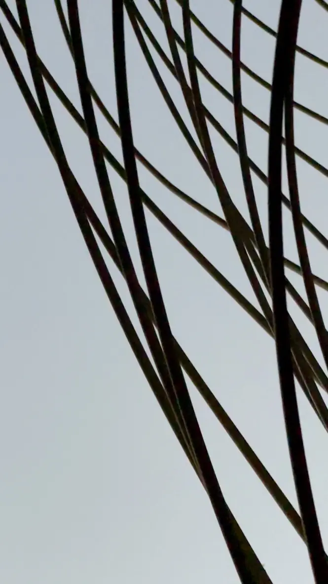 Detail of the intertwined fluorescent lines