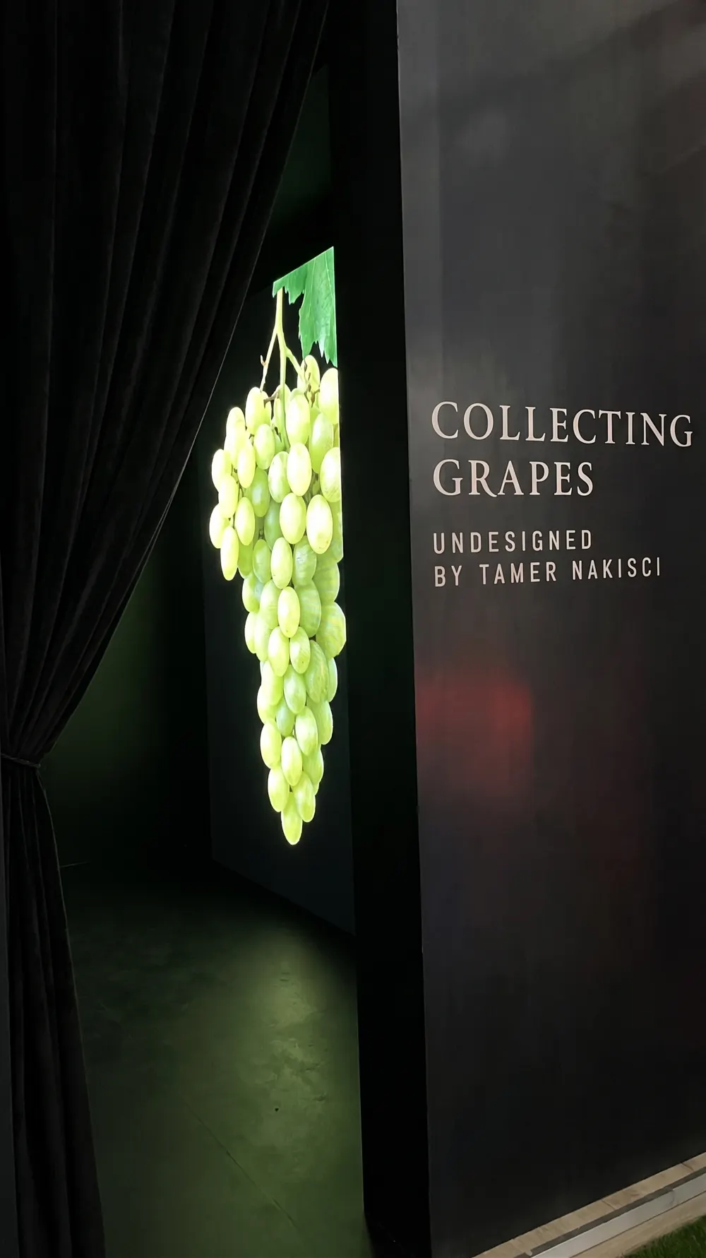 The Collecting Grapes entrance, with a projected green grape cluster beside the wall title and black curtain